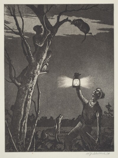 Possum Up De Simmon Tree