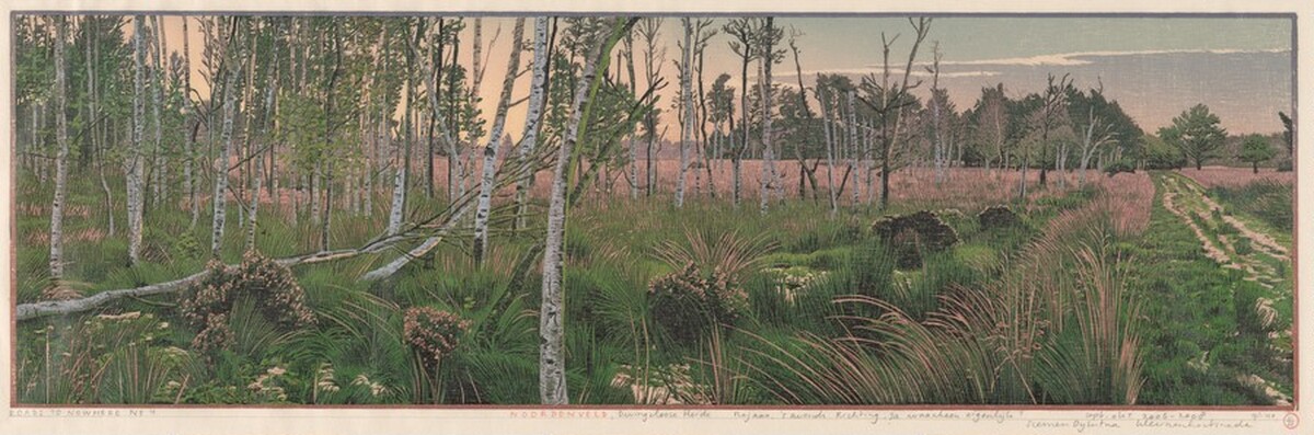 Noordenveld by Siemen Dijkstra