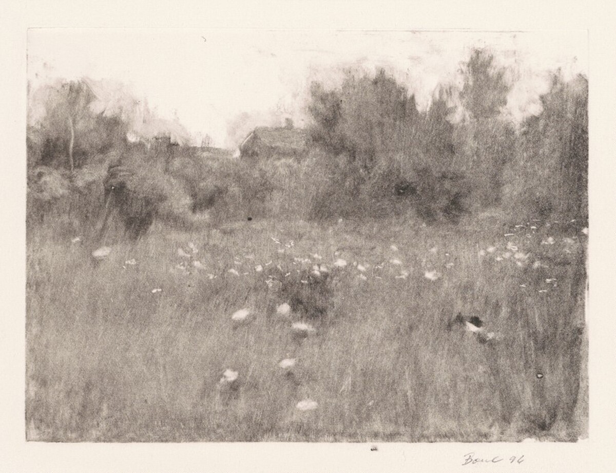 Queen Anne's Lace by Jack Boul