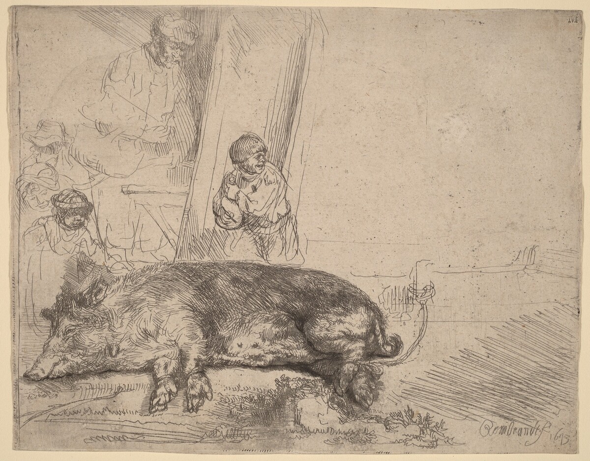 The Hog by Rembrandt van Rijn