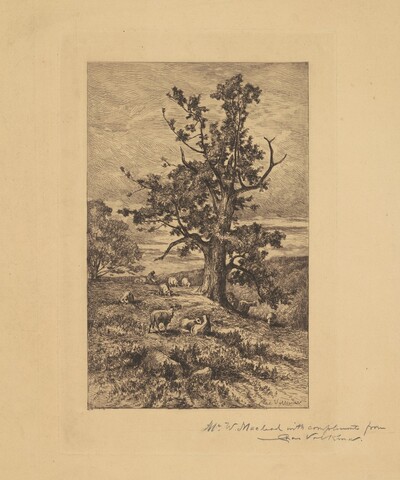 Landscape with Sheep