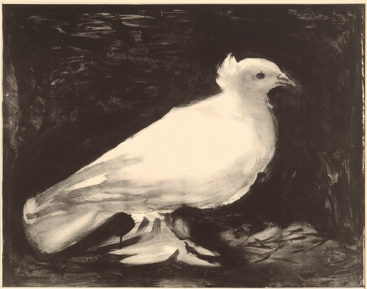 Dove (La colombe) by Pablo Picasso