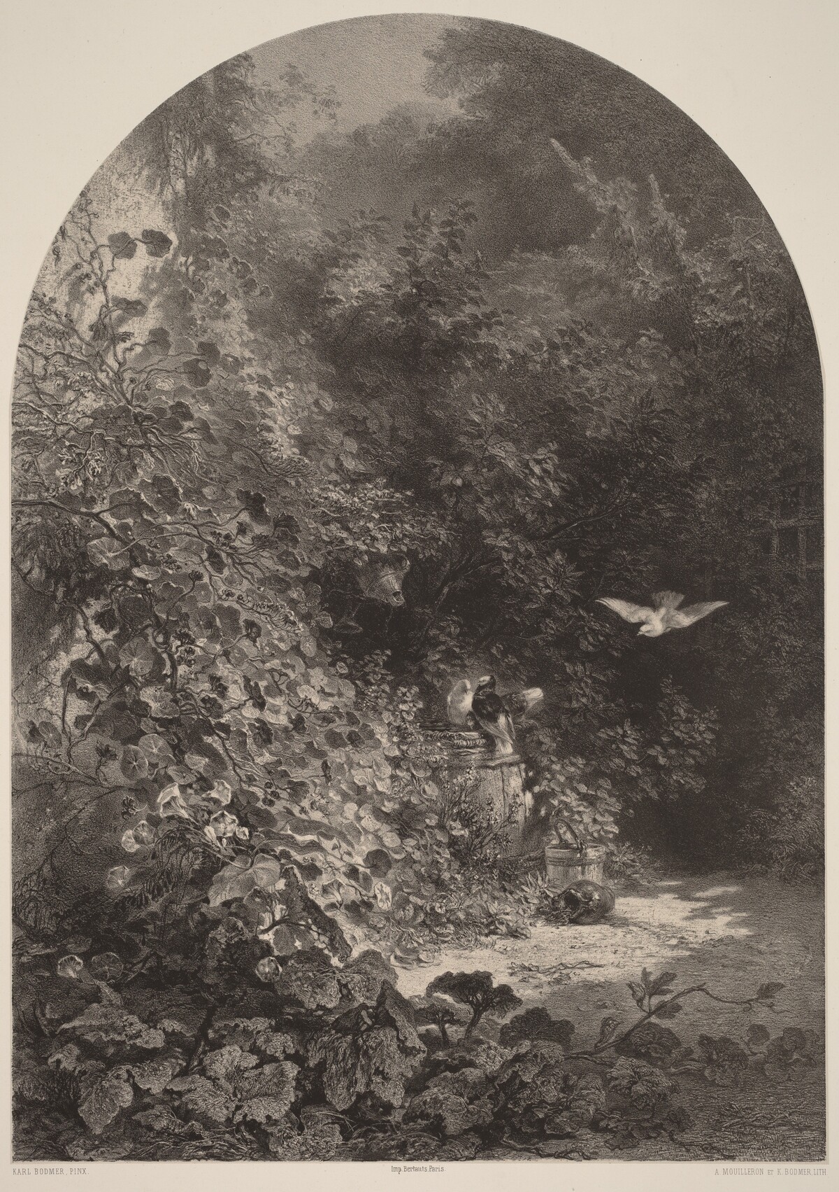 Un Coin de Jardin by Karl Bodmer