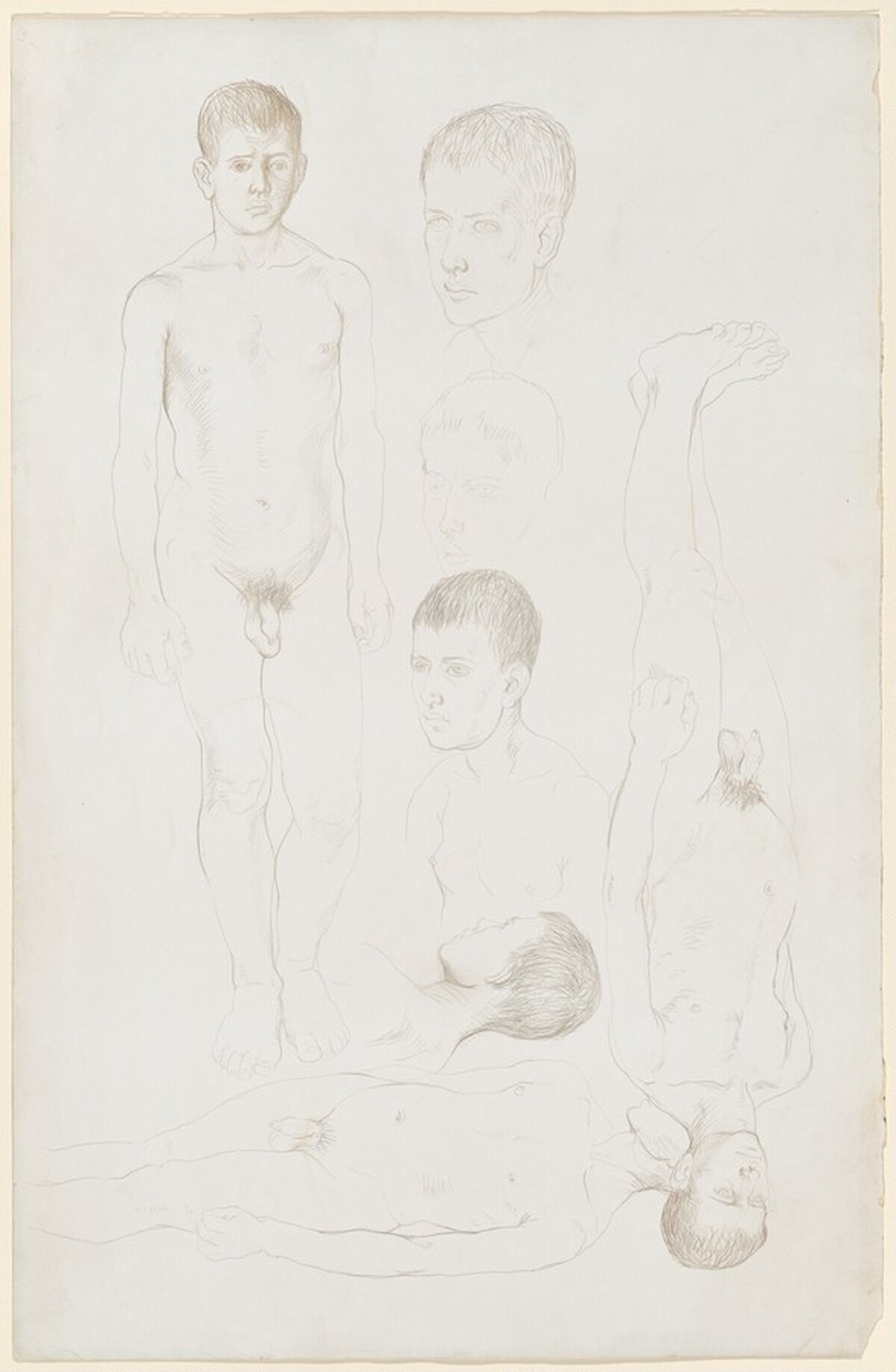 Sheet of Studies of Young Male Nudes by Pavel Tchelitchew