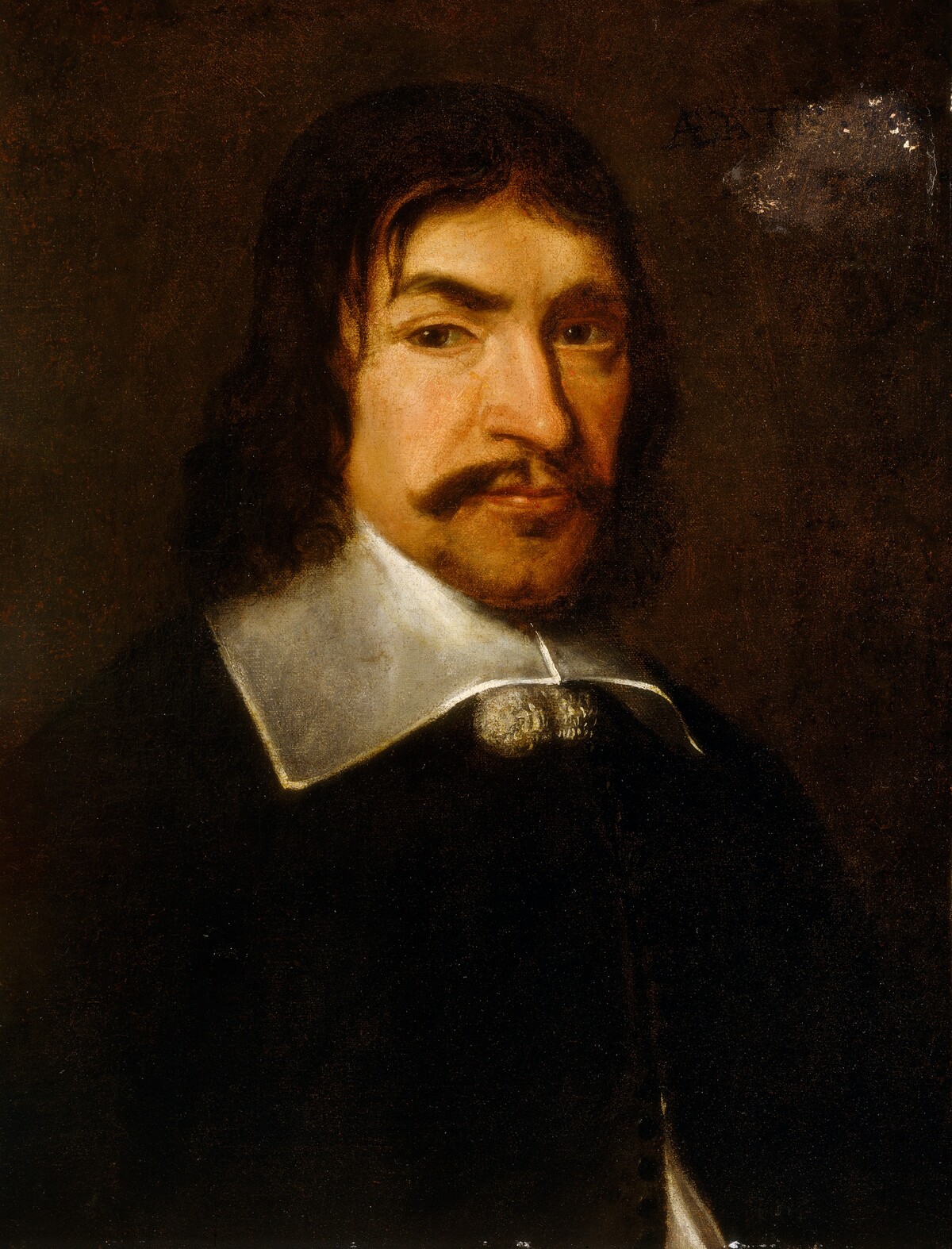 Portrait of a Man by Dutch 17th Century
