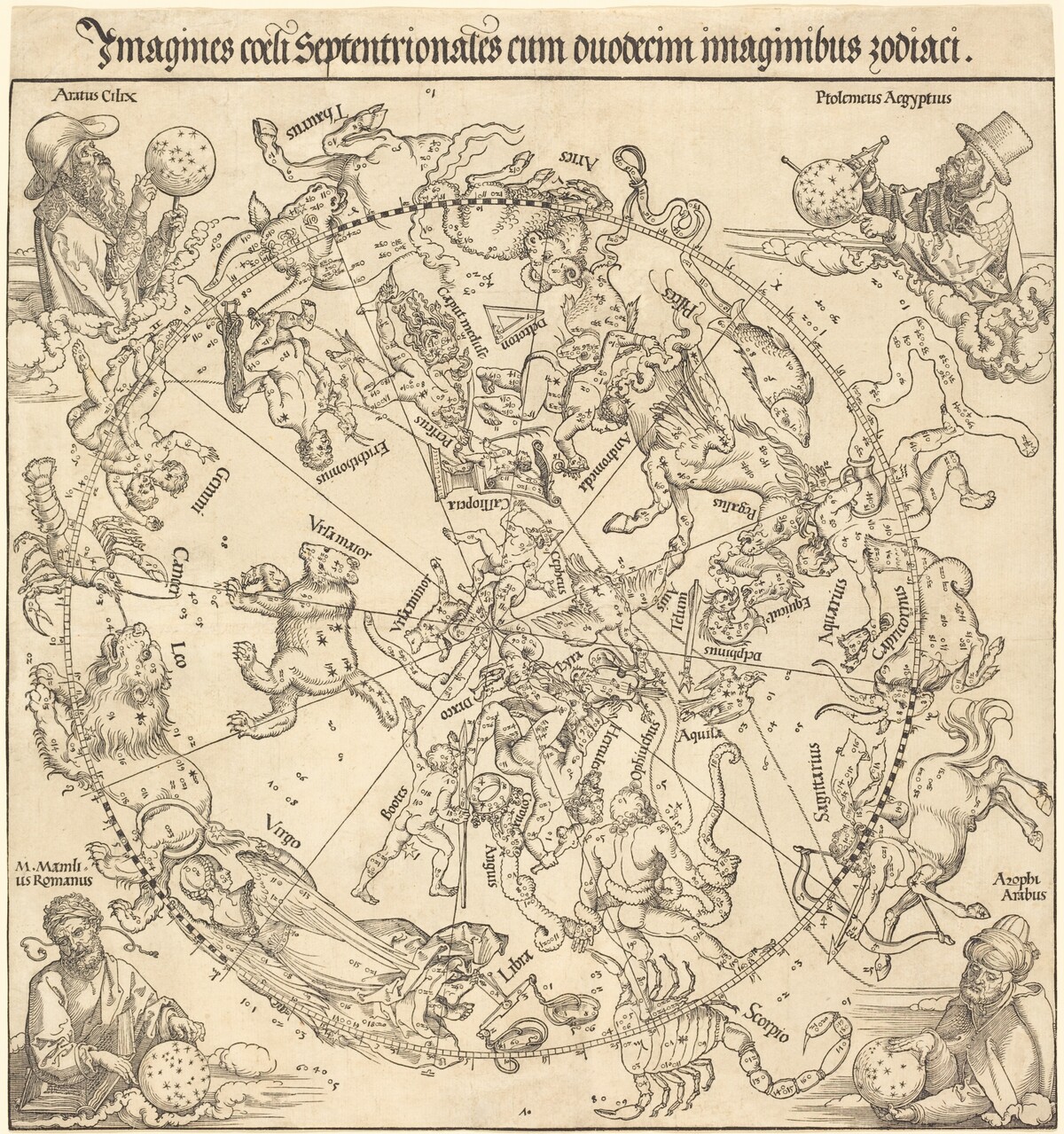 The Northern Celestial Hemisphere by Albrecht Dürer