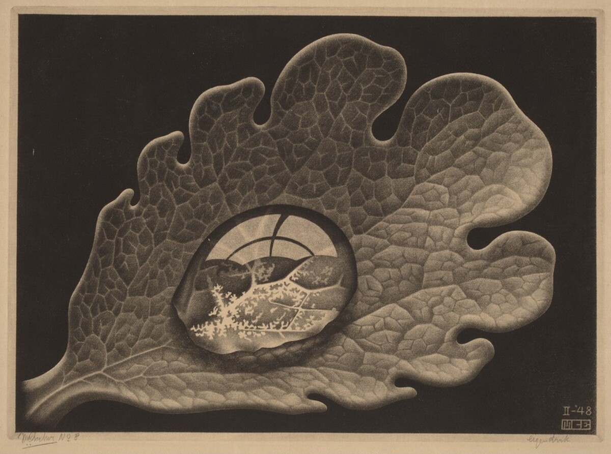 Drop by M.C. Escher