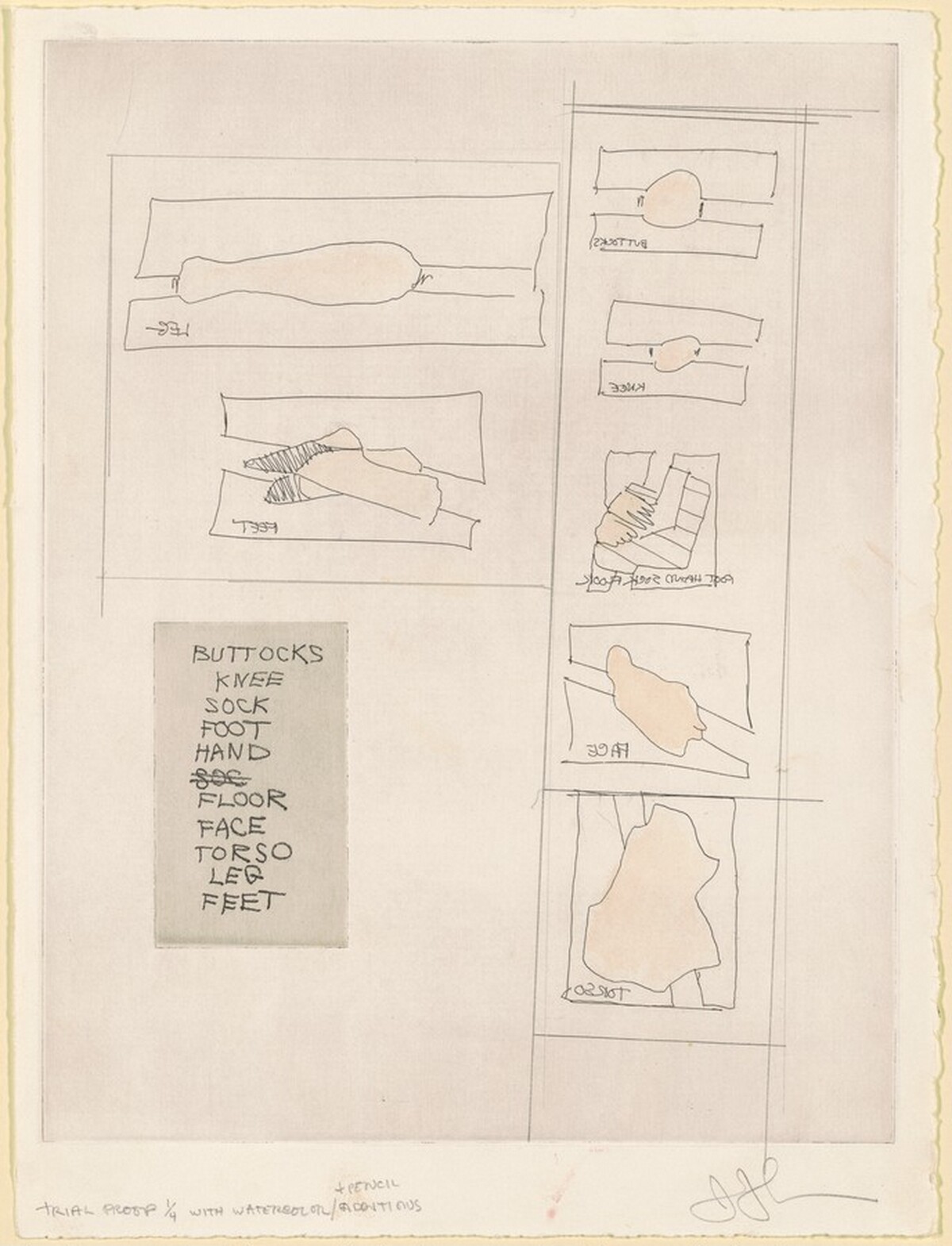 Buttocks/Knees/FootHandSockFloor/Face/Torso (little plates) [trial proof 1] by Jasper Johns