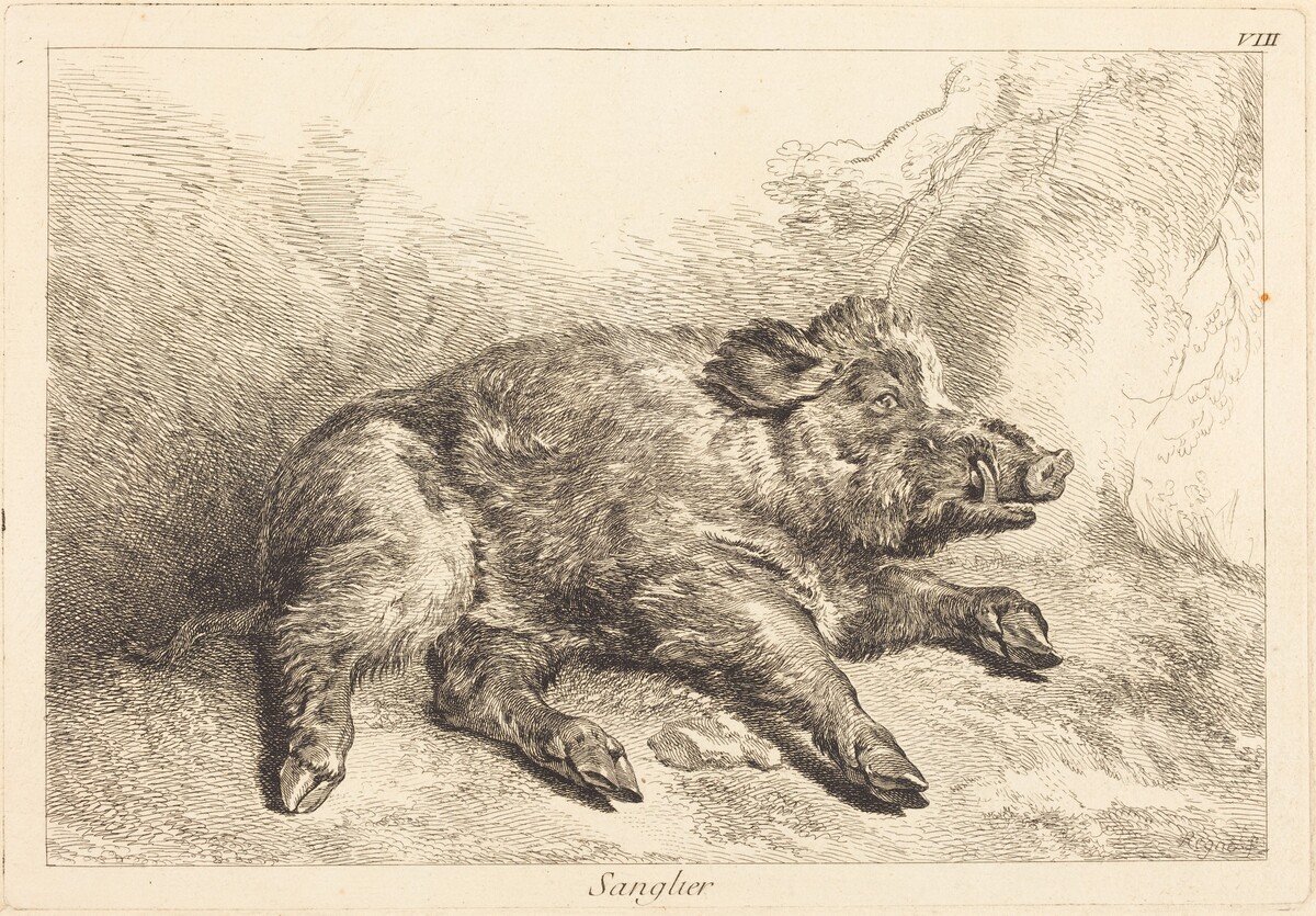 Sanglier (Wild Boar Lying Down, Head to the Right) by Jacques-Philippe Le Bas and Jean Eric Rehn after Jean-Baptiste Oudry