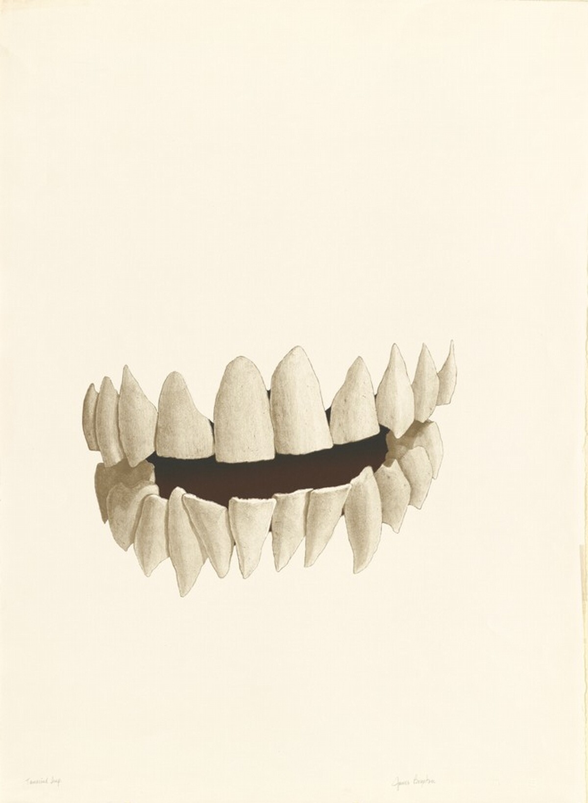 Teeth by James Boynton
