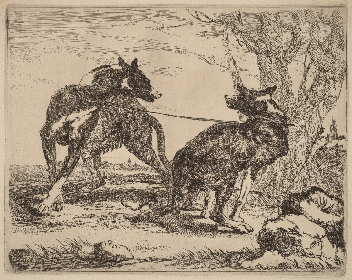 Two Greyhounds, Leashed and Facing Each Other by Jan Fyt