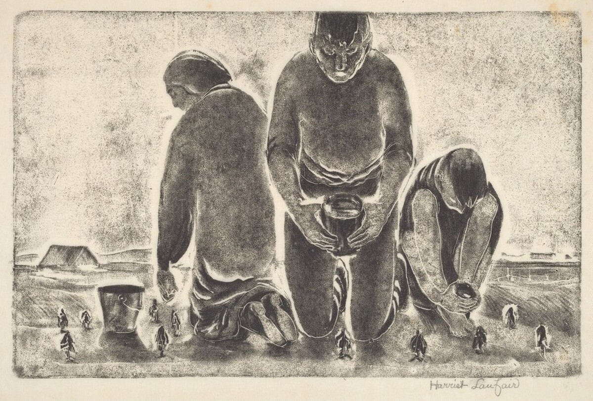 Untitled (Parched Crops) by Harriet Keese Lanfair