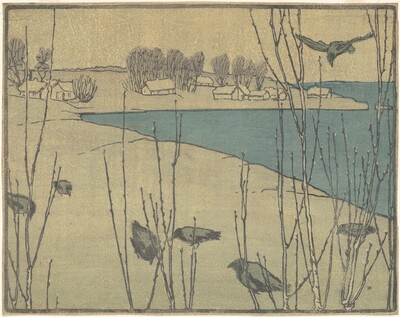 Pussy Willows