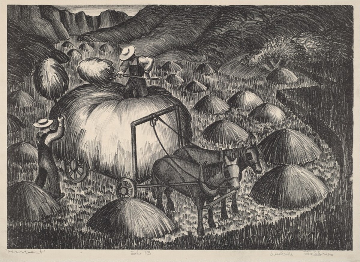 Harvest by Lucille Jeffries