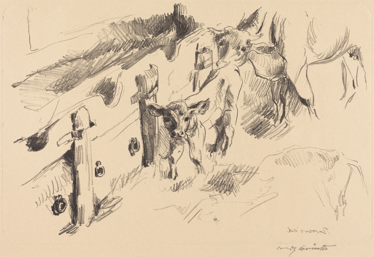 Kälber (Calves) by Lovis Corinth