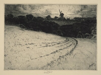 Morning, Canonicut Island