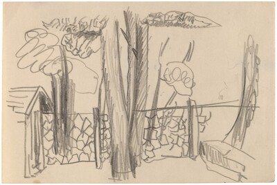 Trees Near Stone Wall and Shed