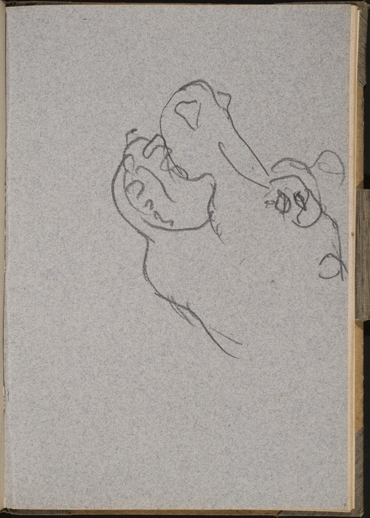 Nilpferdkopf im Profil (Hippo Head) [p. 19] by Max Beckmann