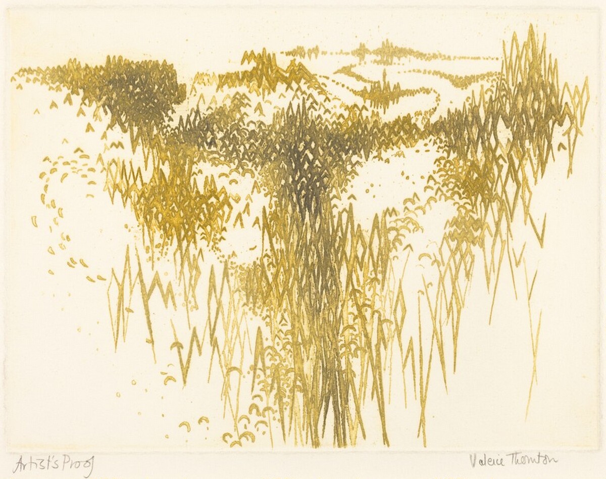 Valley by Valerie Thornton