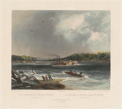 The Steamer Yellow-stone