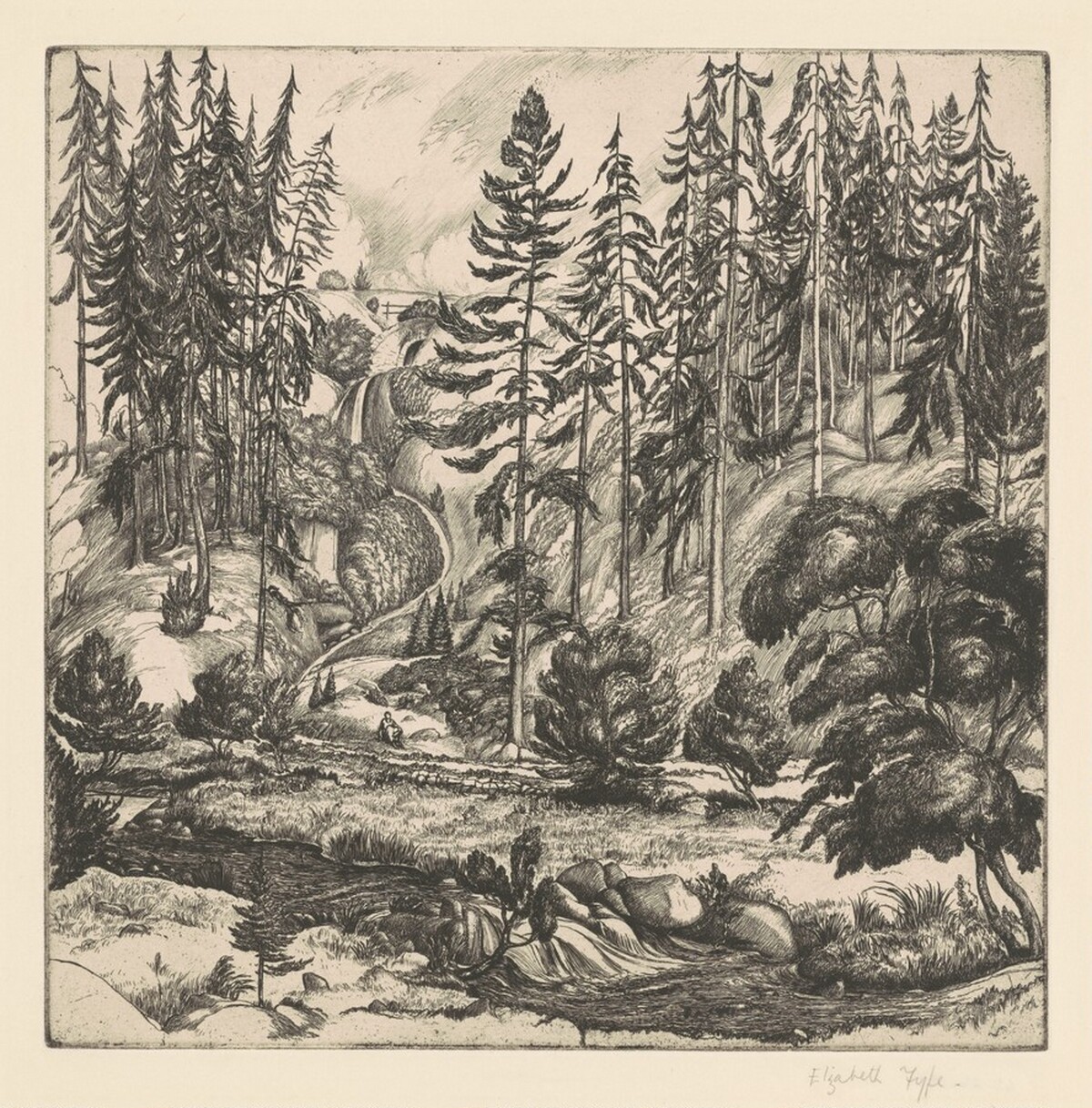 The Waterfall by Elizabeth Fyfe