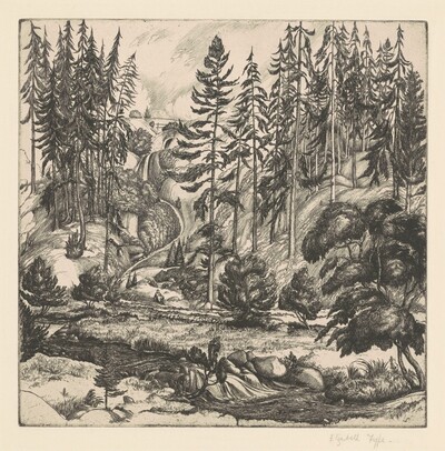 The Waterfall