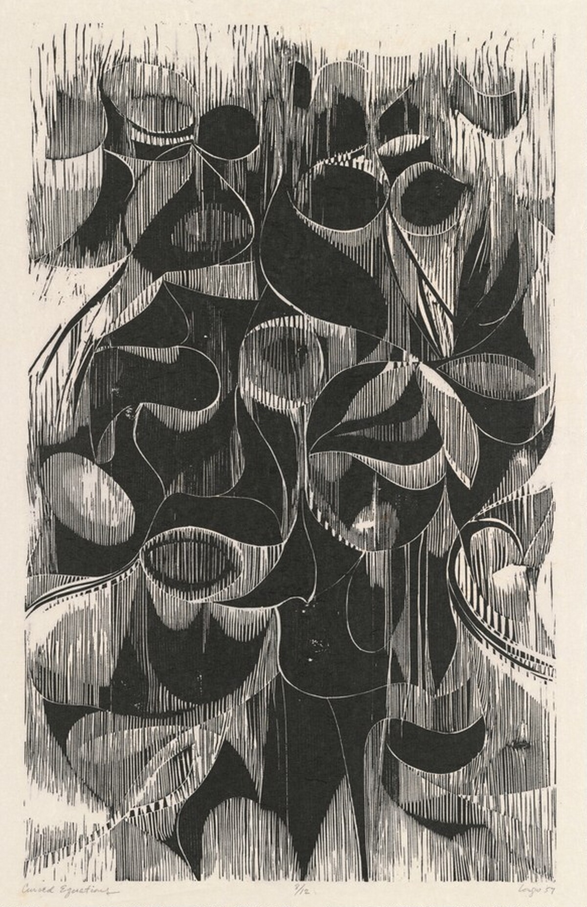 Curved Equations by Vincent John Longo