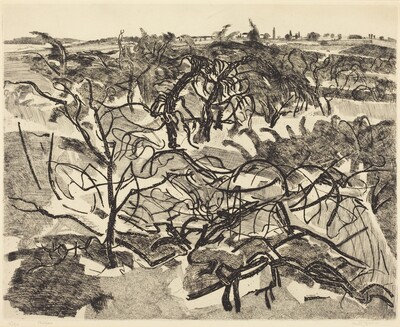 Plateau