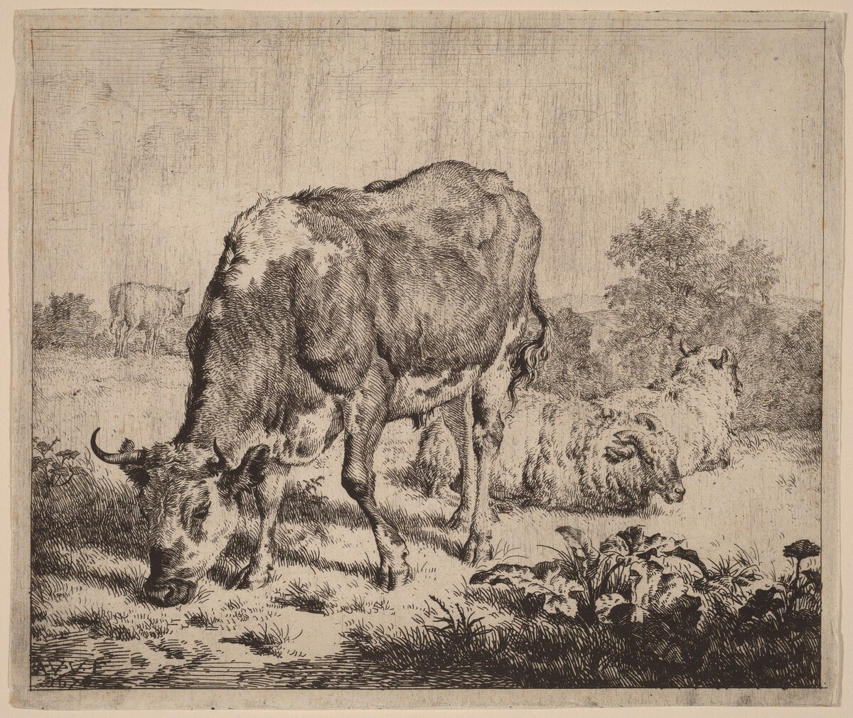 Spotted Bull and Three Sheep by Adriaen van de Velde