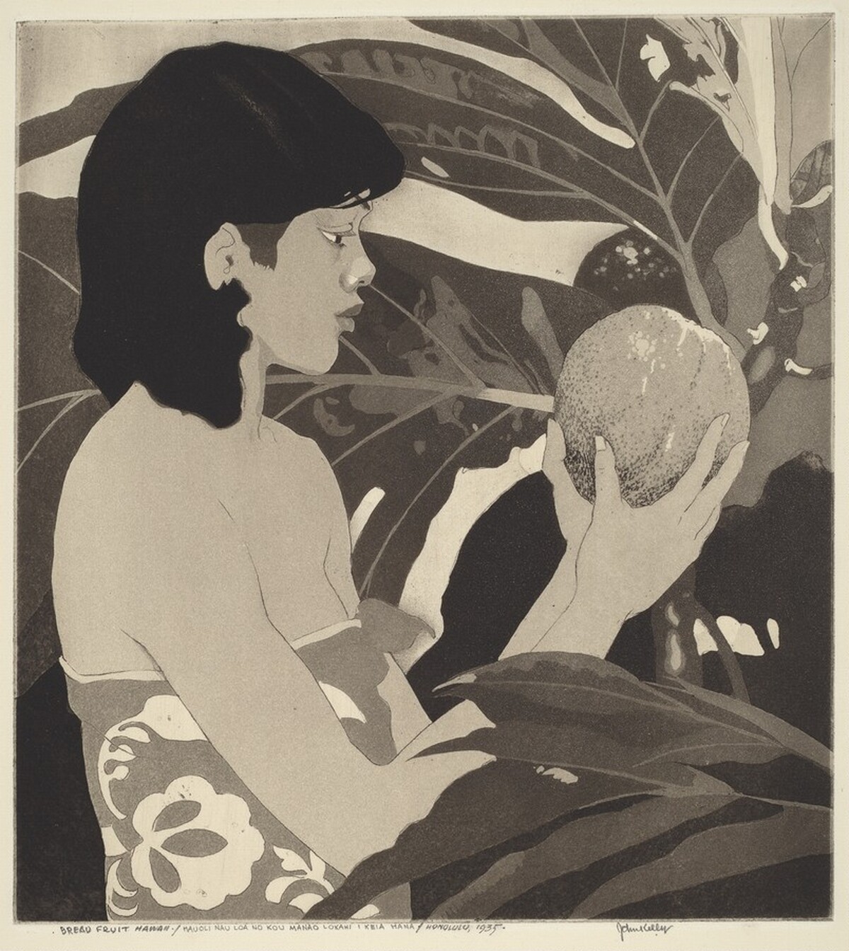 Bread Fruit, Hawaii by John Melville Kelly