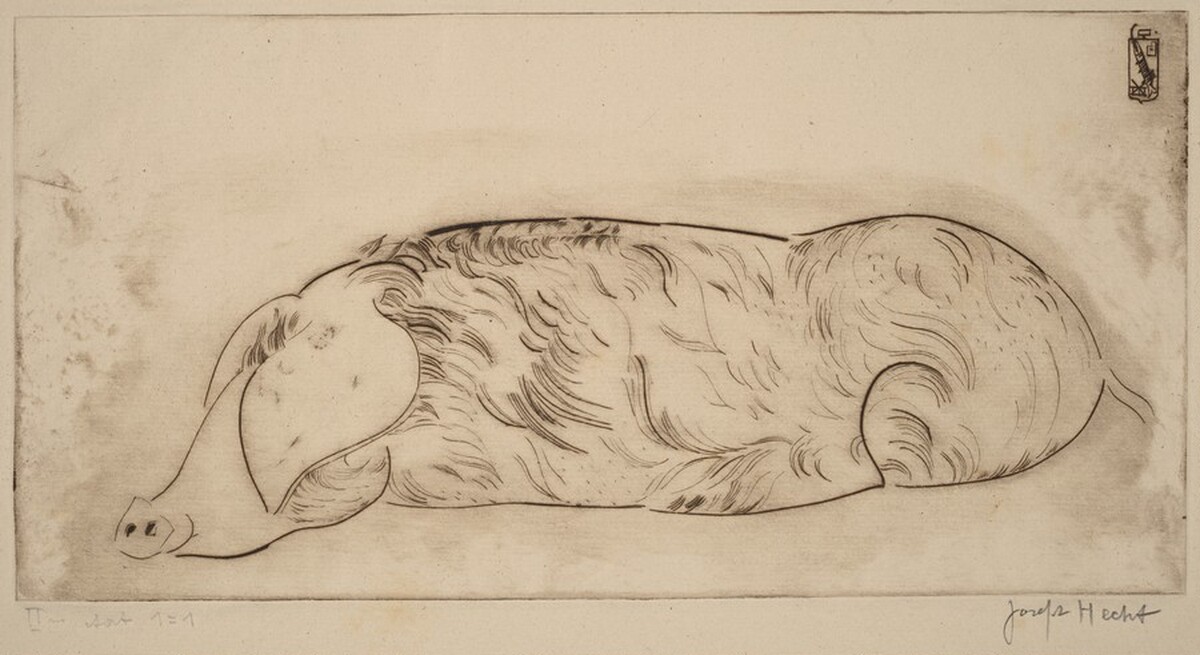 Hog (Cochon) by Joseph Hecht