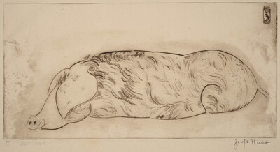 Hog (Cochon)