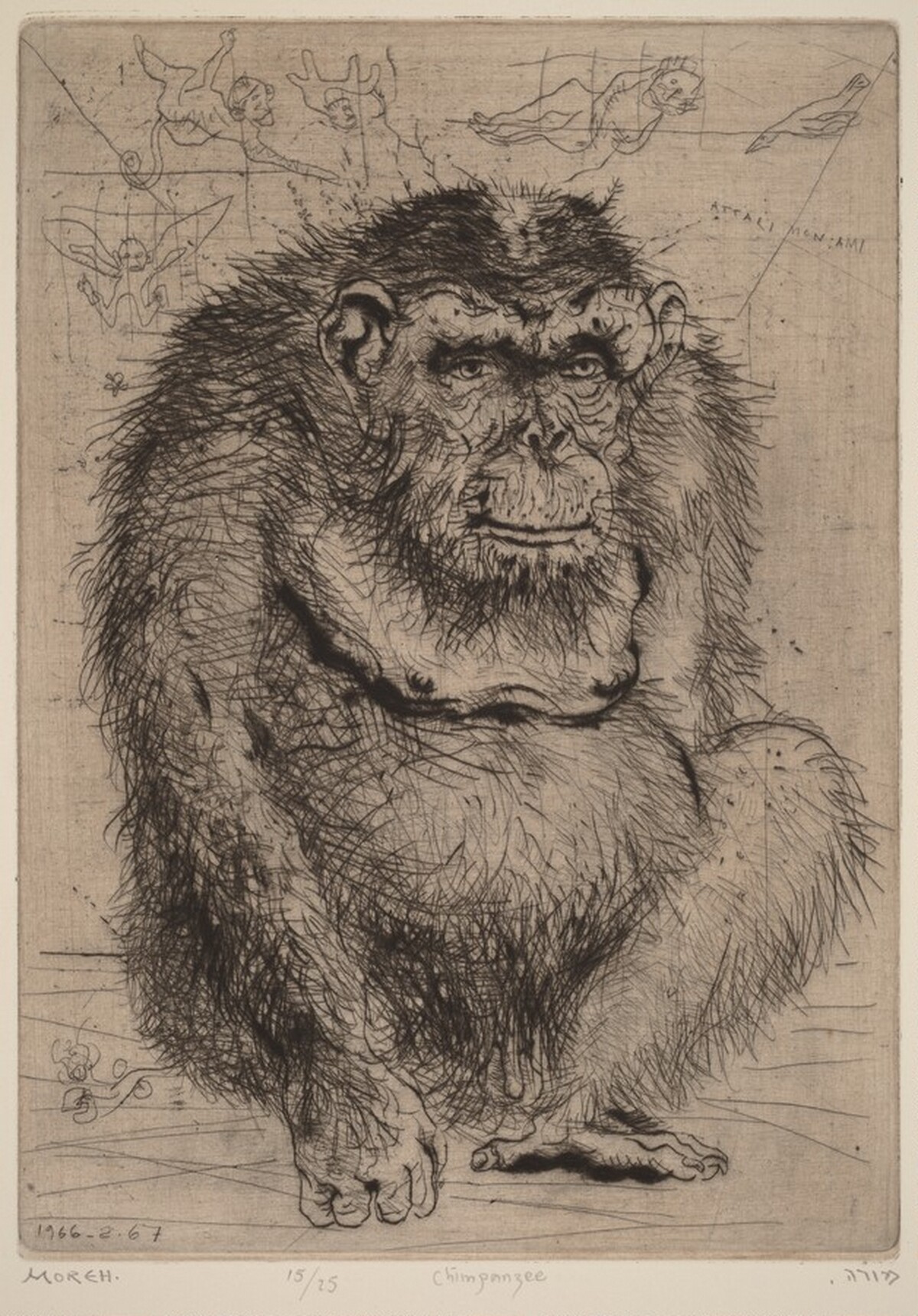 Chimpanzee by Mordecai Moreh