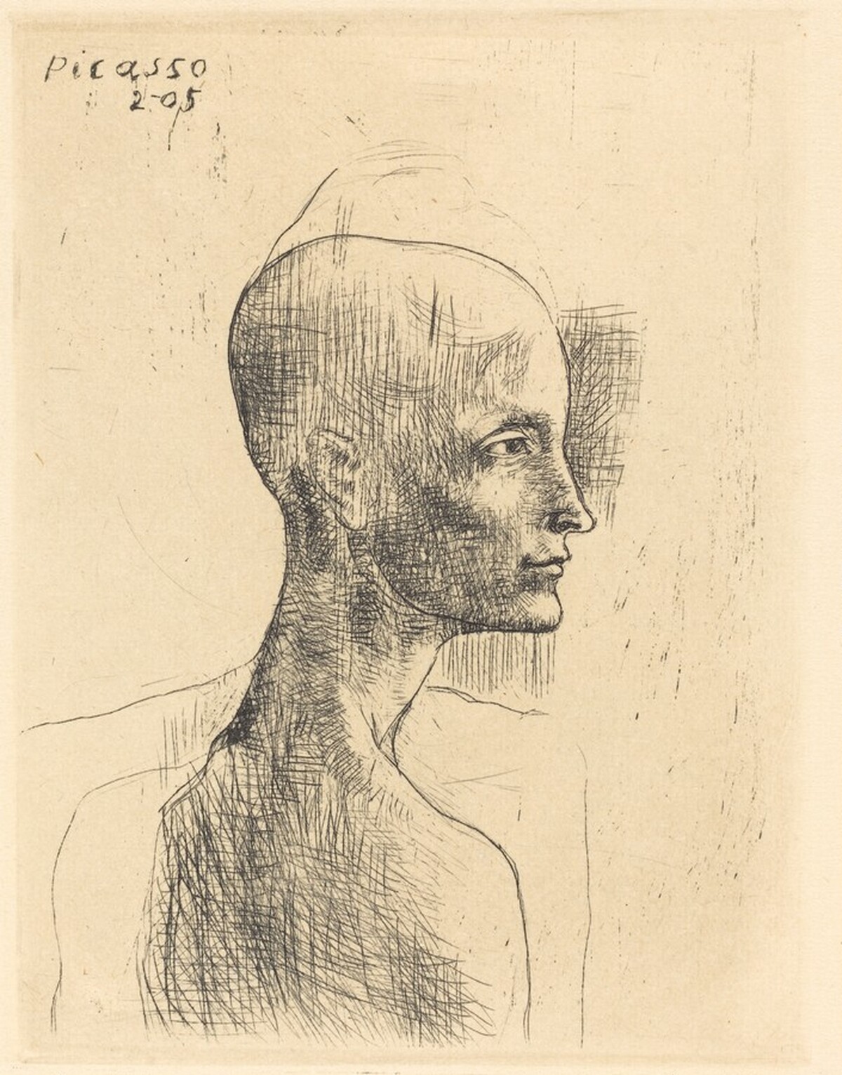 Head of a Man (Buste d'homme) by Pablo Picasso