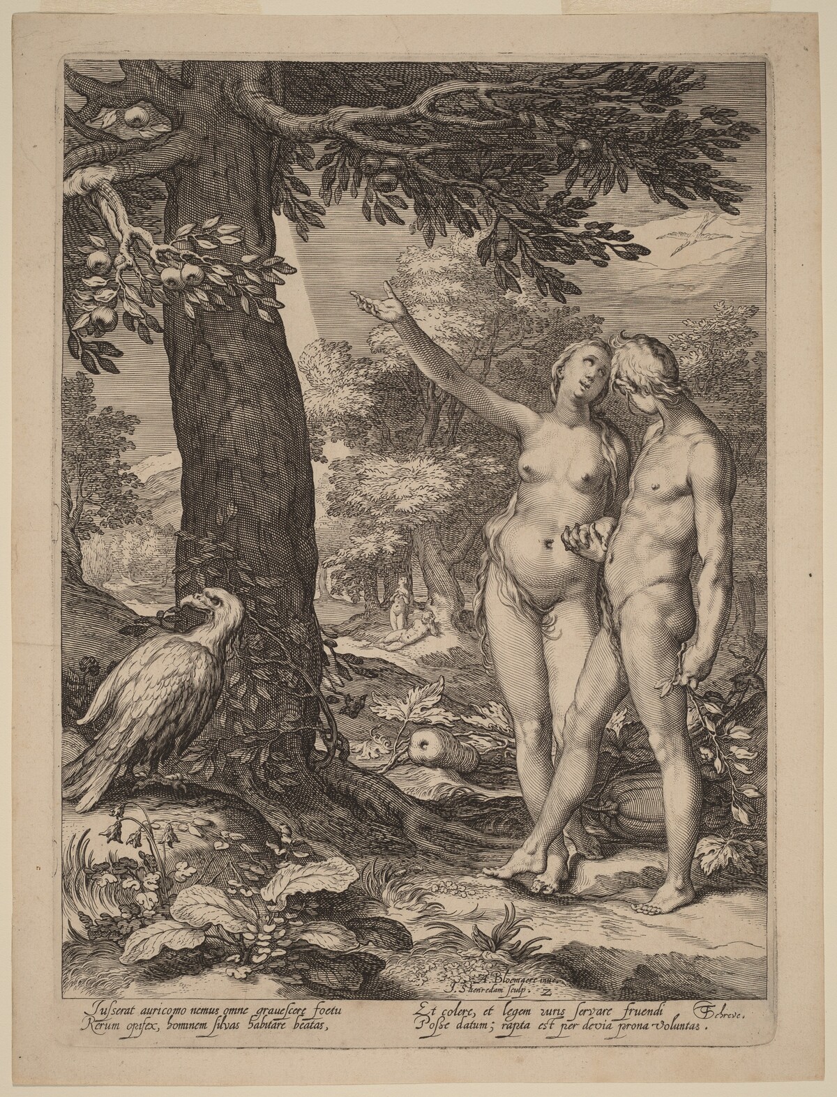 Adam and Eve before the Tree of Knowledge by Jan Pietersz Saenredam after Abraham Bloemaert