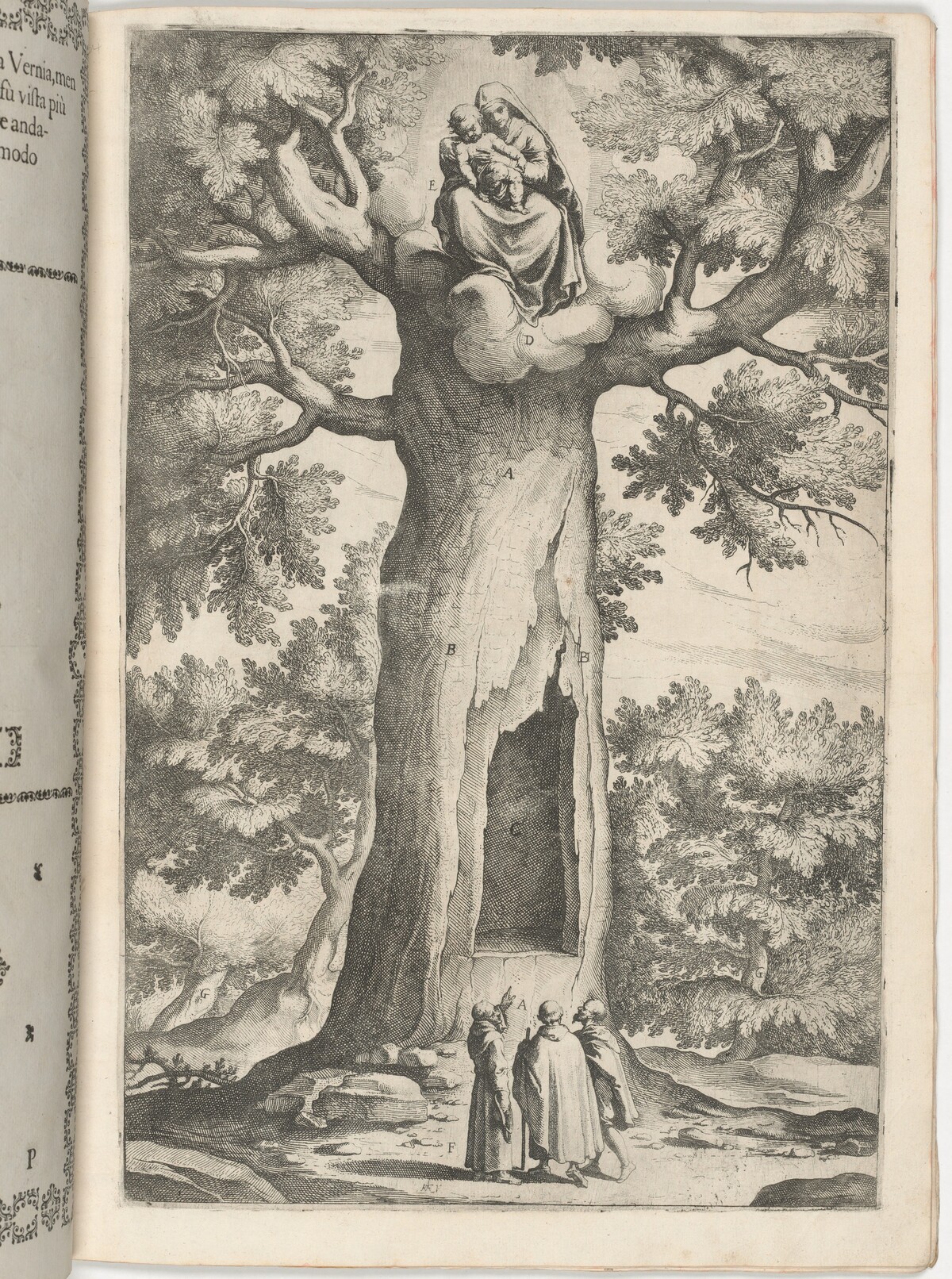 Apparition of the Virgin in the Beech Tree (Faggio dell'apparizione della Vergine) [plate P] by Jacopo Ligozzi (artist), Raffaello Schiaminossi (etcher), Lino Moroni (author)