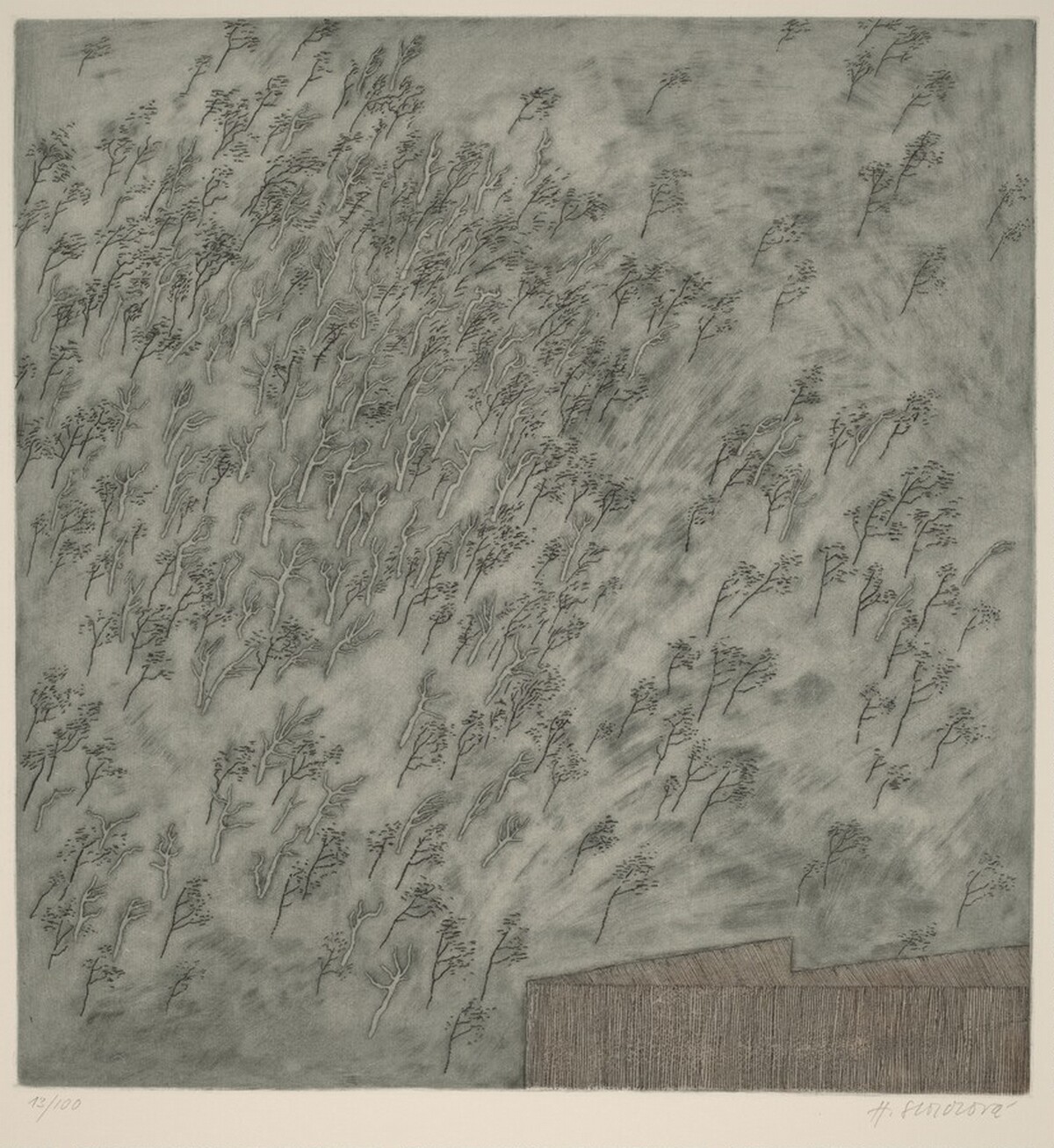 Brízy (Birch Trees) by Hana Storchová