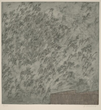 Brízy (Birch Trees)