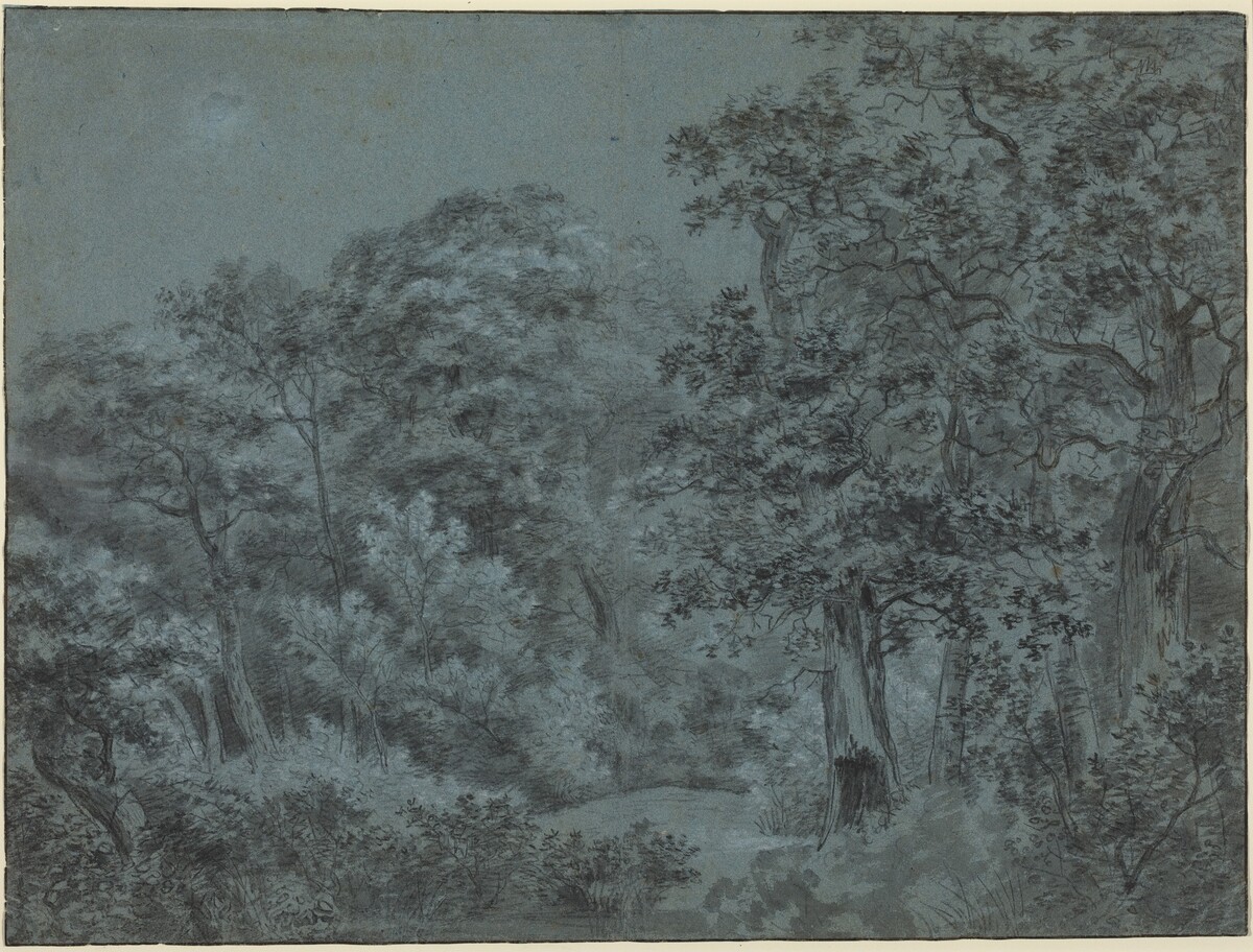 In the Hague Woods by Simon de Vlieger