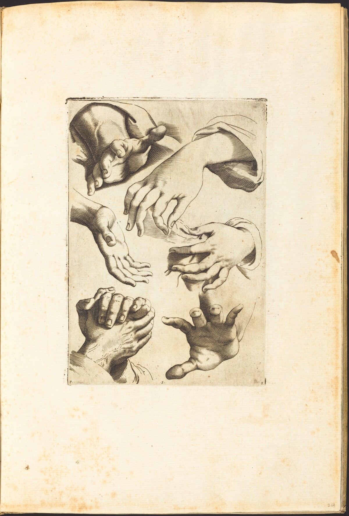 Print from Drawing Book by Luca Ciamberlano