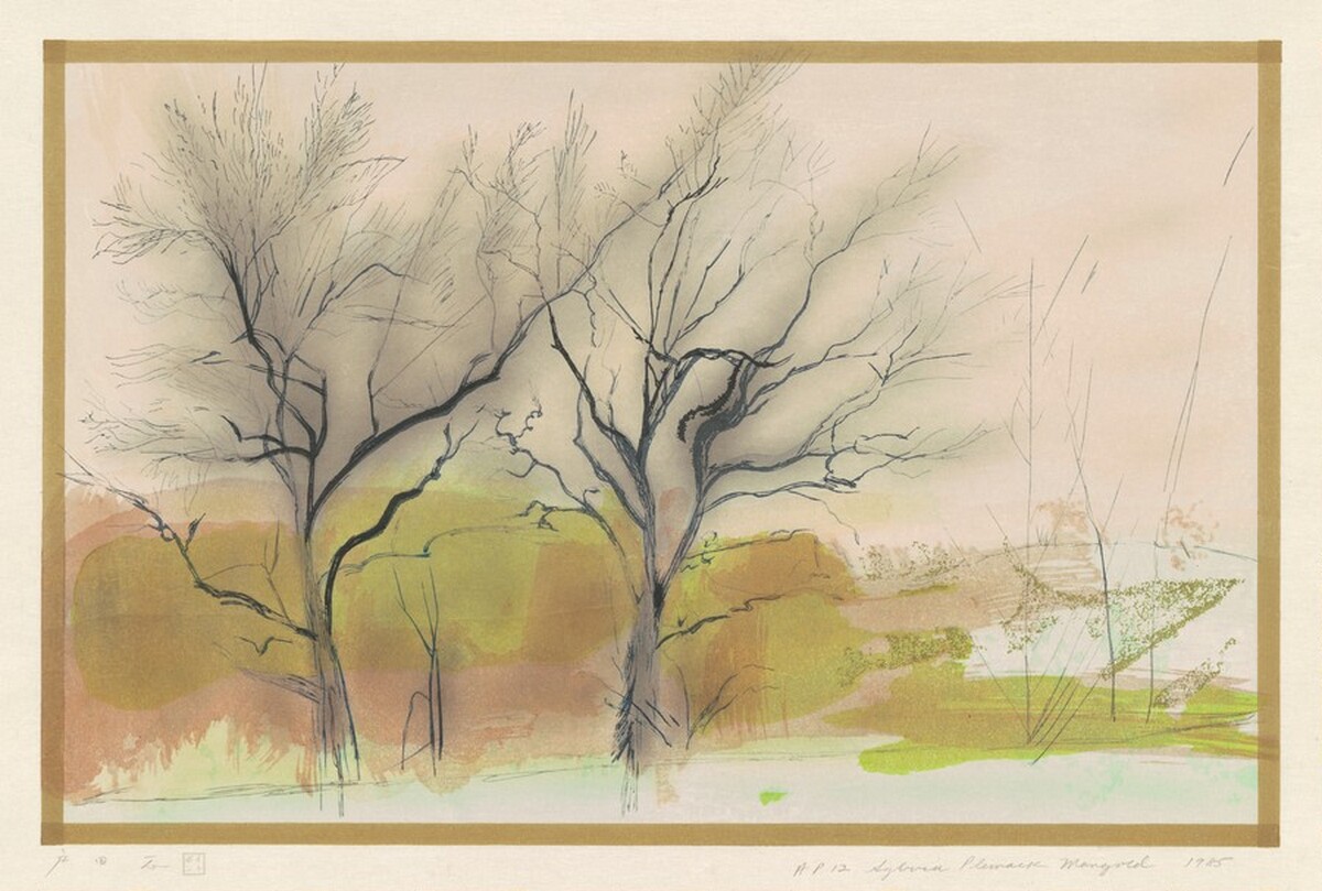 The Nut Trees by Sylvia Plimack Mangold