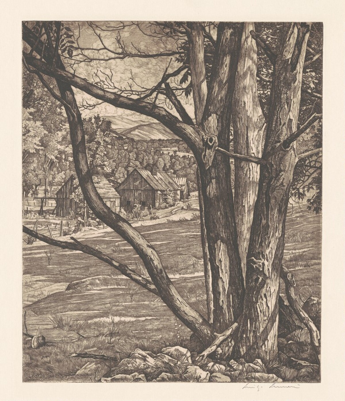 Tree Rhythm by Luigi Lucioni