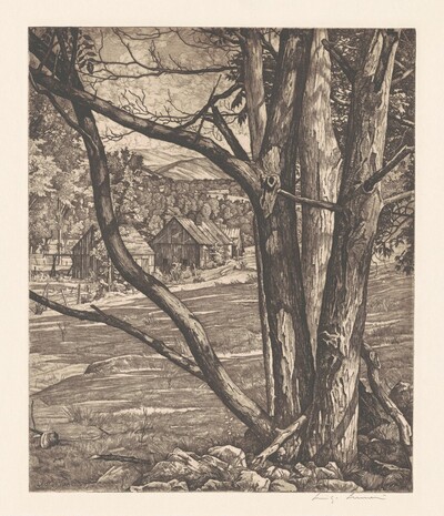 Tree Rhythm
