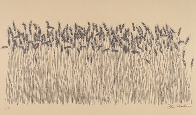 Wheat Field