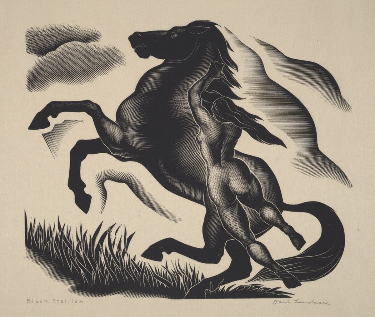 Black Stallion by Paul Landacre