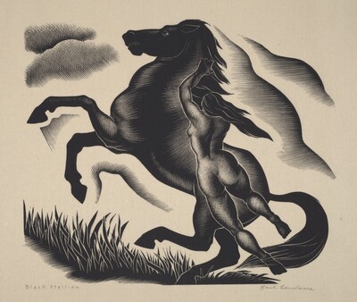 Black Stallion