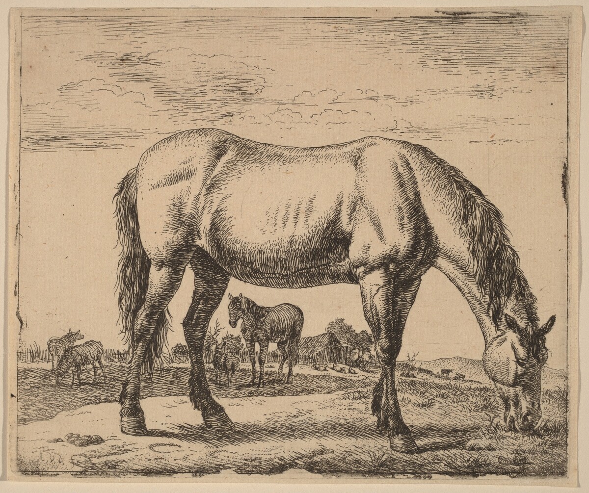 Grazing Horse by Adriaen van de Velde