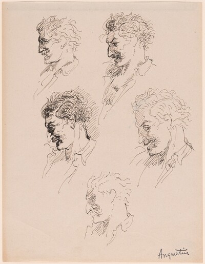 Head Studies