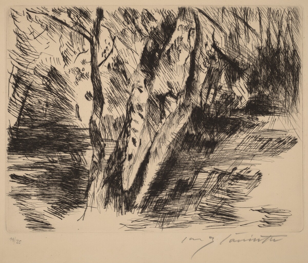 Birkenstämme im Tiergarten (Birch Trees in the Tiergarten) by Lovis Corinth