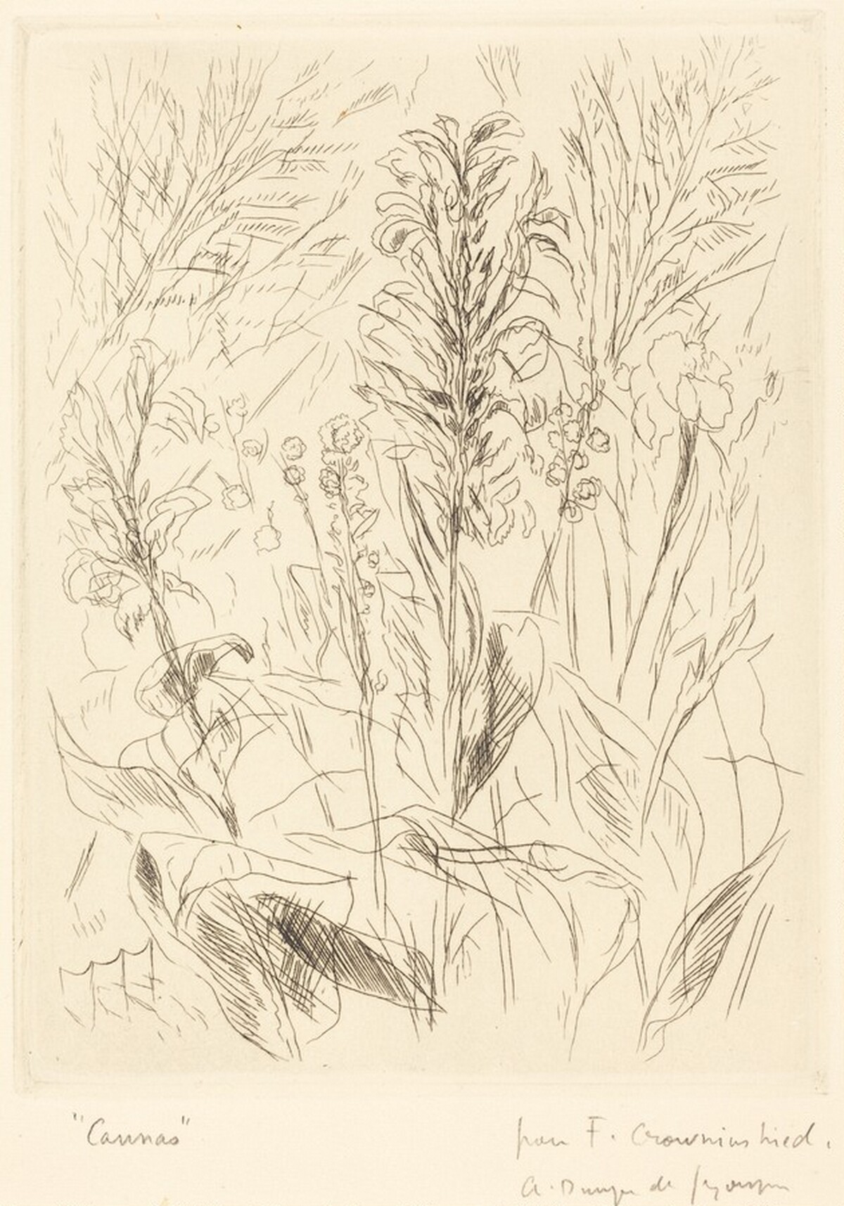 "Cannas" by André Dunoyer de Segonzac